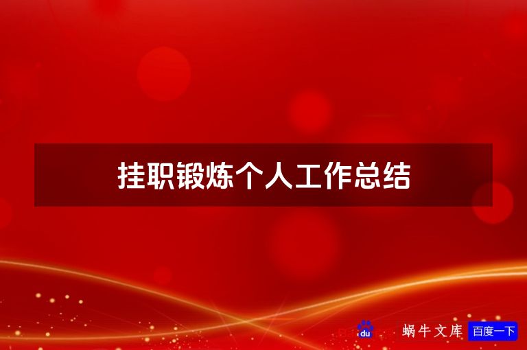 挂职锻炼个人工作总结