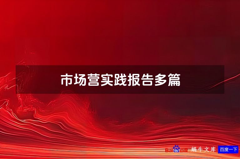 市场营实践报告多篇