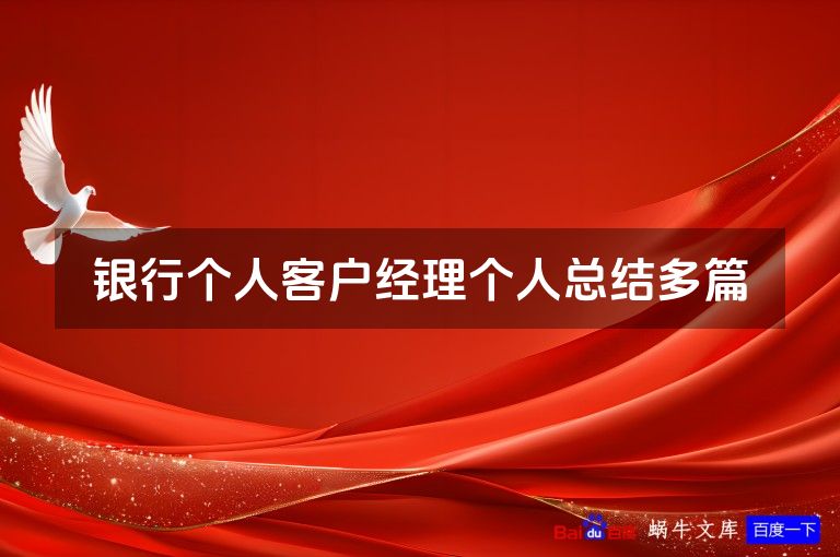 银行个人客户经理个人总结多篇