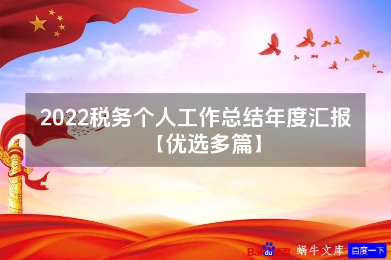 2022税务个人工作总结年度汇报【优选多篇】