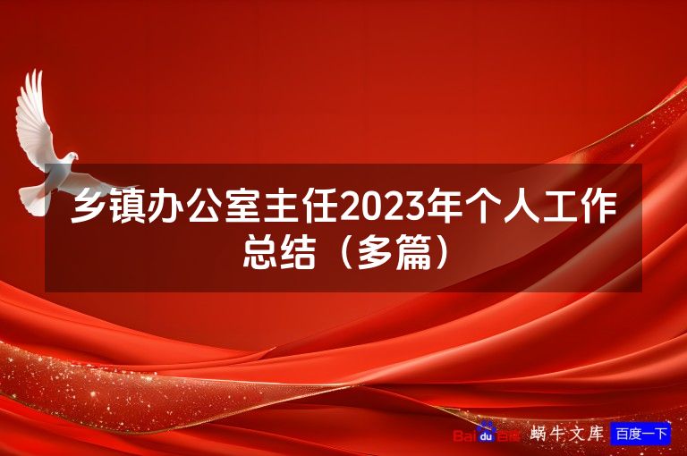 乡镇办公室主任2023年个人工作总结（多篇）