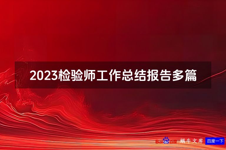 2023检验师工作总结报告多篇