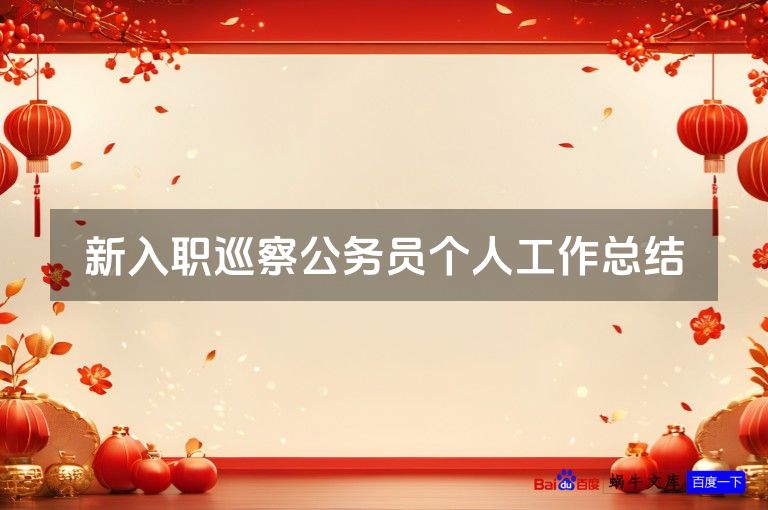 新入职巡察公务员个人工作总结