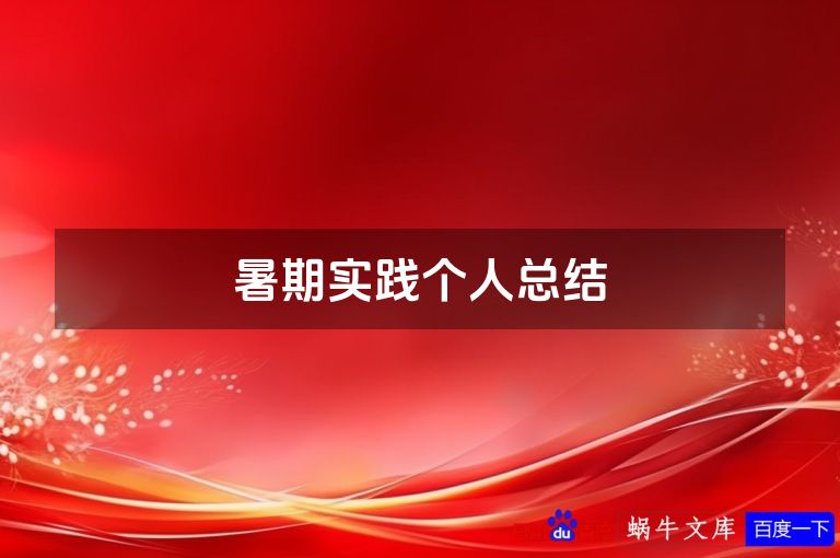 暑期实践个人总结