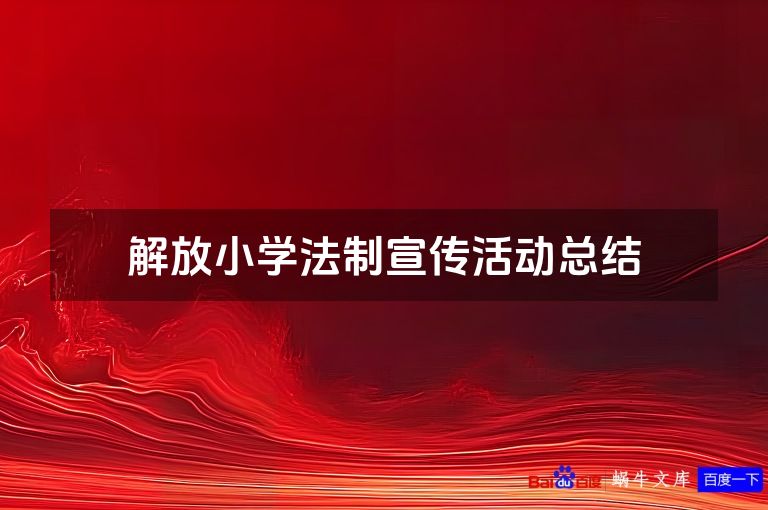 解放小学法制宣传活动总结