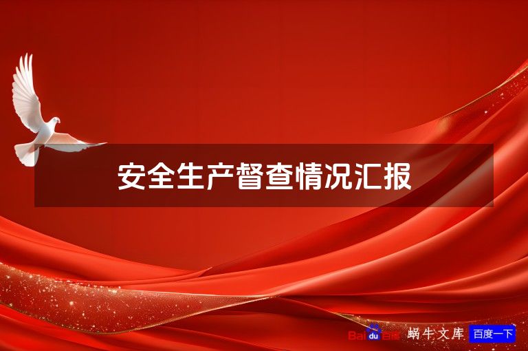 安全生产督查情况汇报