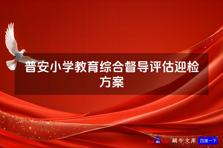 普安小学教育综合督导评估迎检方案