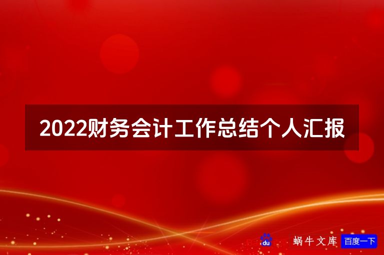 2022财务会计工作总结个人汇报