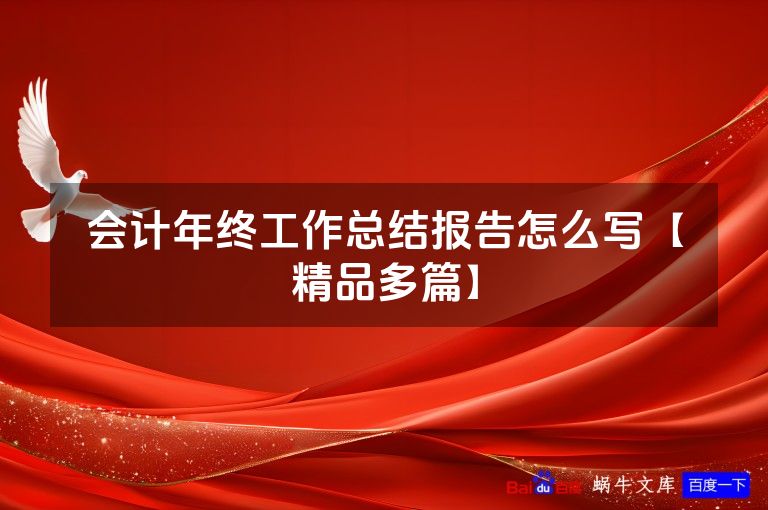 会计年终工作总结报告怎么写【精品多篇】