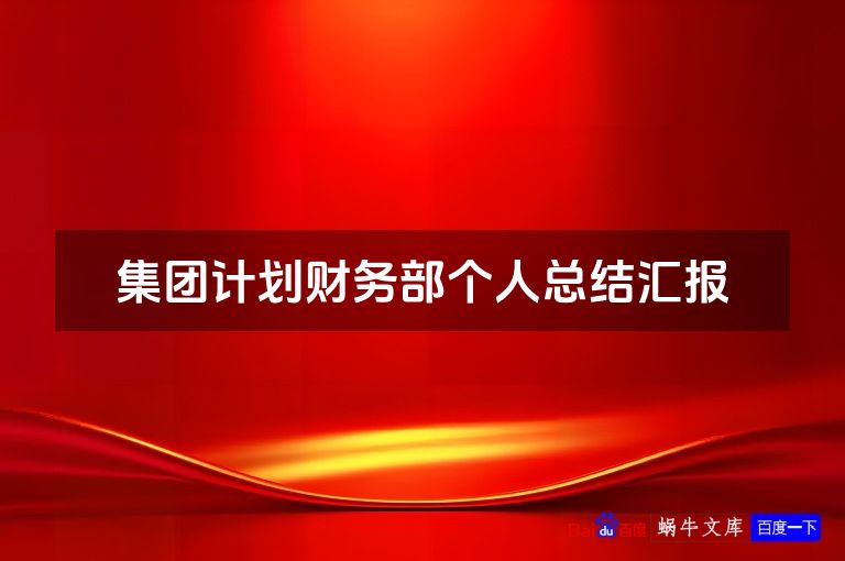 集团计划财务部个人总结汇报