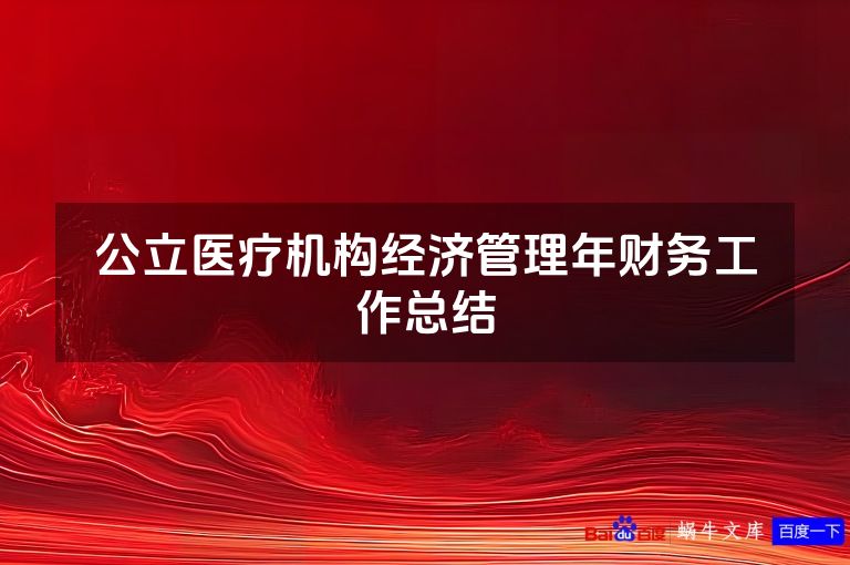 公立医疗机构经济管理年财务工作总结