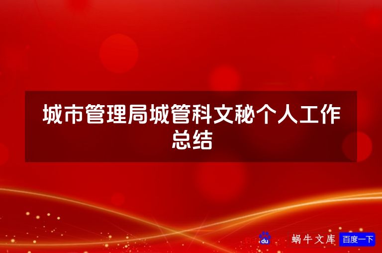 城市管理局城管科文秘个人工作总结