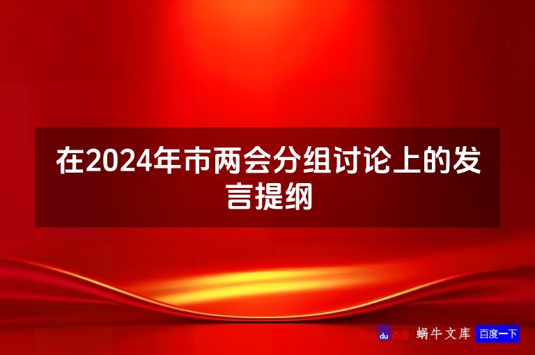 在2024年市两会分组讨论上的发言提纲