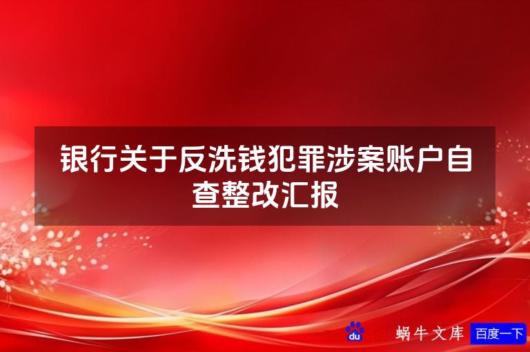 银行关于反洗钱犯罪涉案账户自查整改汇报