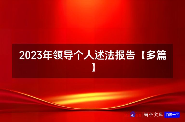 2023年领导个人述法报告【多篇】