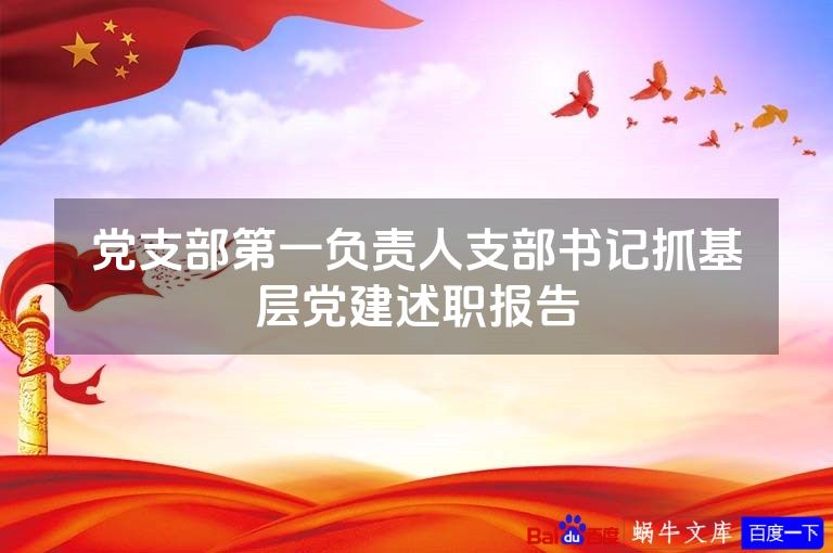 党支部第一负责人支部书记抓基层党建述职报告