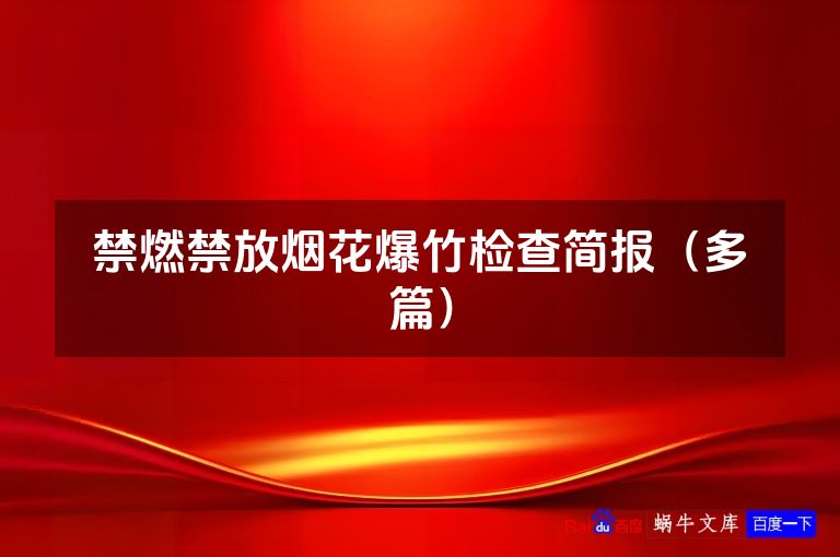 禁燃禁放烟花爆竹检查简报（多篇）