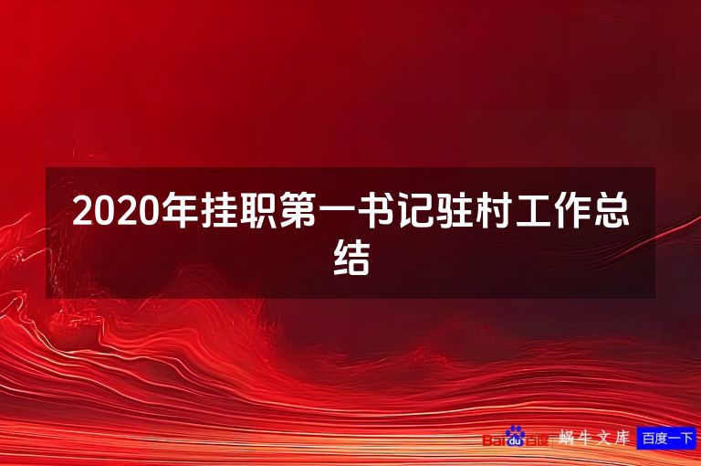 2020年挂职第一书记驻村工作总结