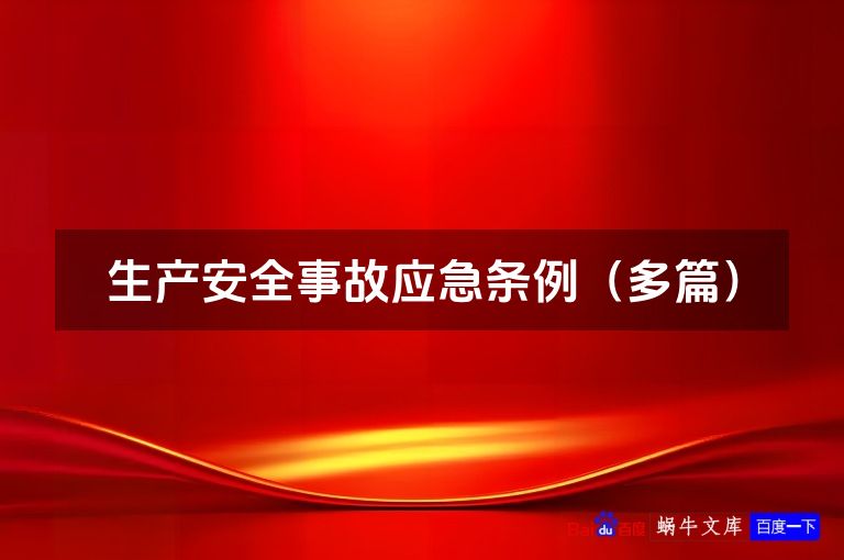 生产安全事故应急条例（多篇）