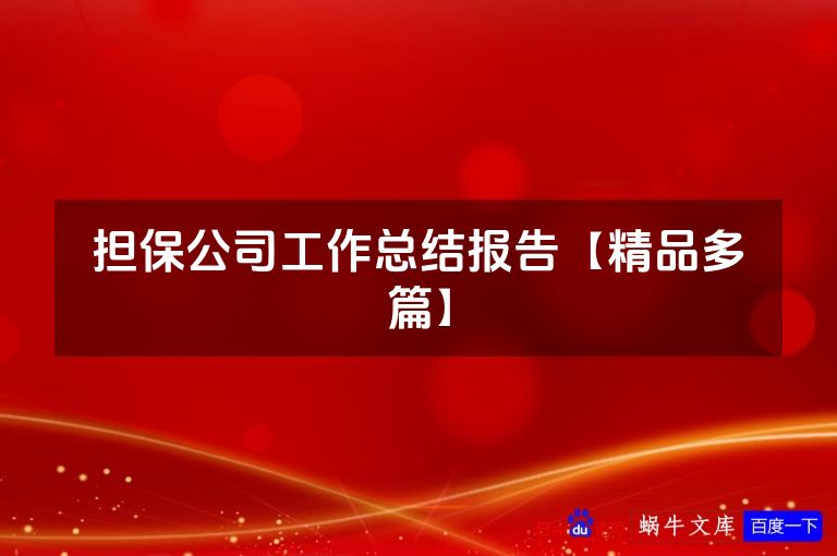 担保公司工作总结报告【精品多篇】