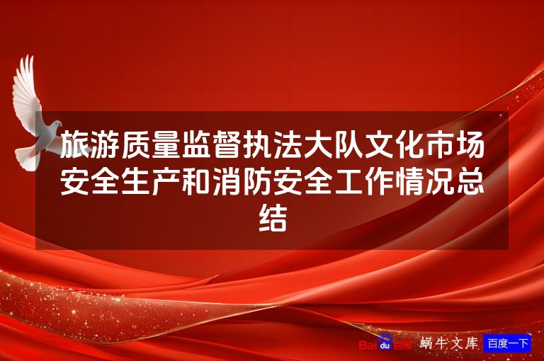 旅游质量监督执法大队文化市场安全生产和消防安全工作情况总结