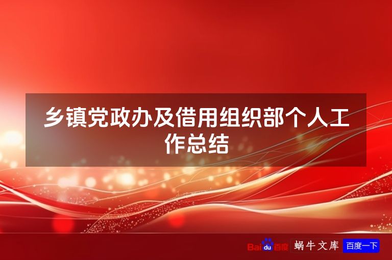 乡镇党政办及借用组织部个人工作总结