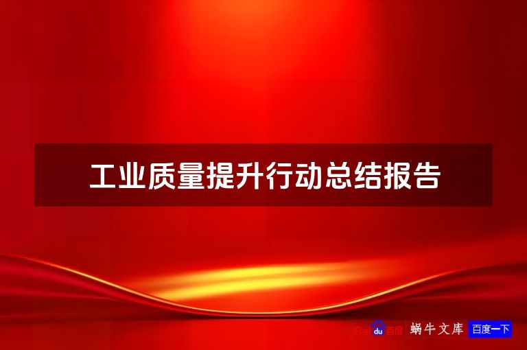 工业质量提升行动总结报告