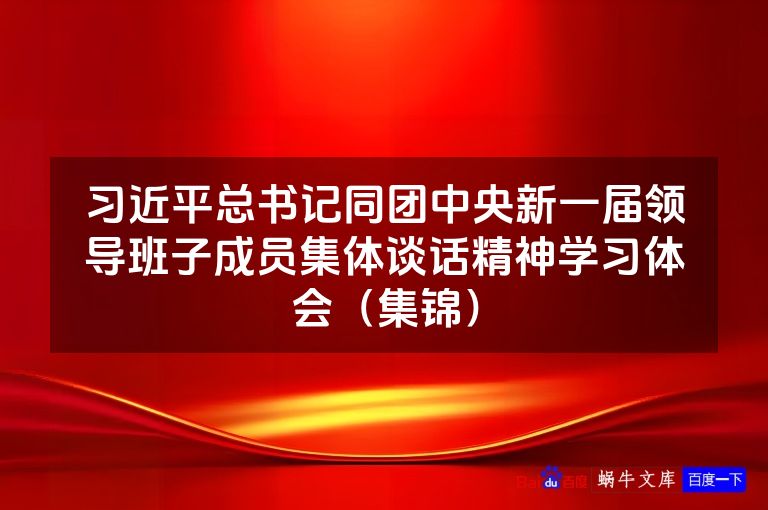 习近平总书记同团中央新一届领导班子成员集体谈话精神学习体会（集锦）