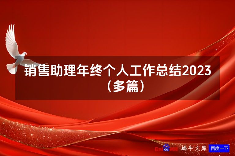 销售助理年终个人工作总结2023（多篇）