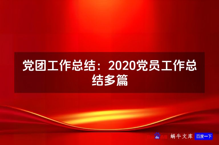 党团工作总结：2020党员工作总结多篇