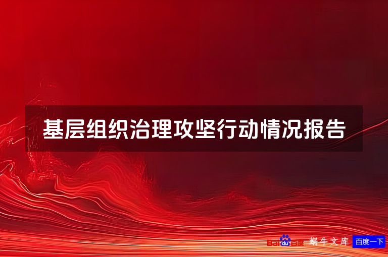 基层组织治理攻坚行动情况报告