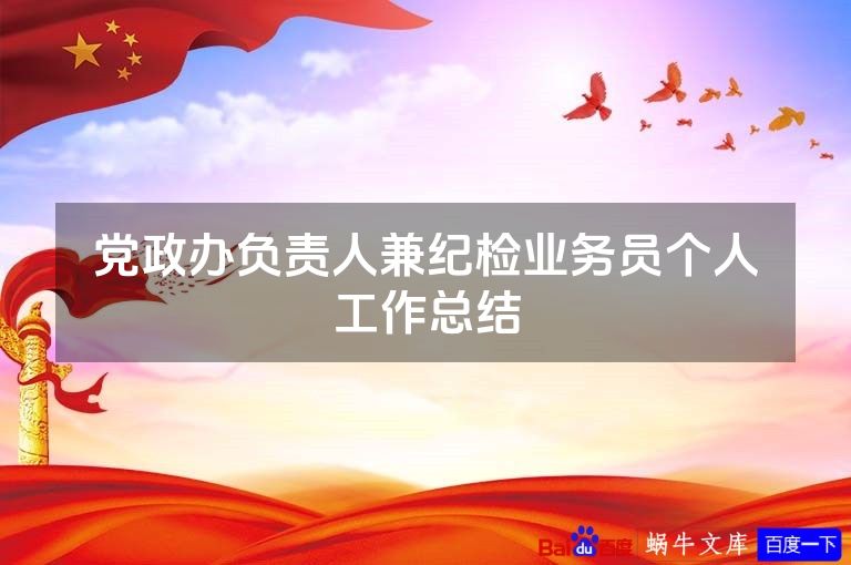 党政办负责人兼纪检业务员个人工作总结