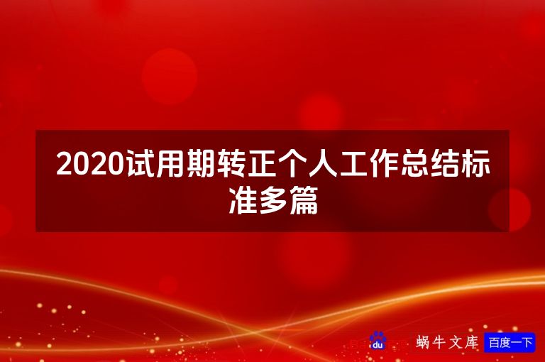 2020试用期转正个人工作总结标准多篇