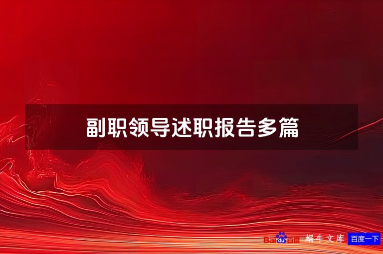 副职领导述职报告多篇