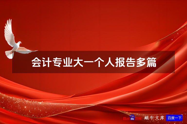 会计专业大一个人报告多篇