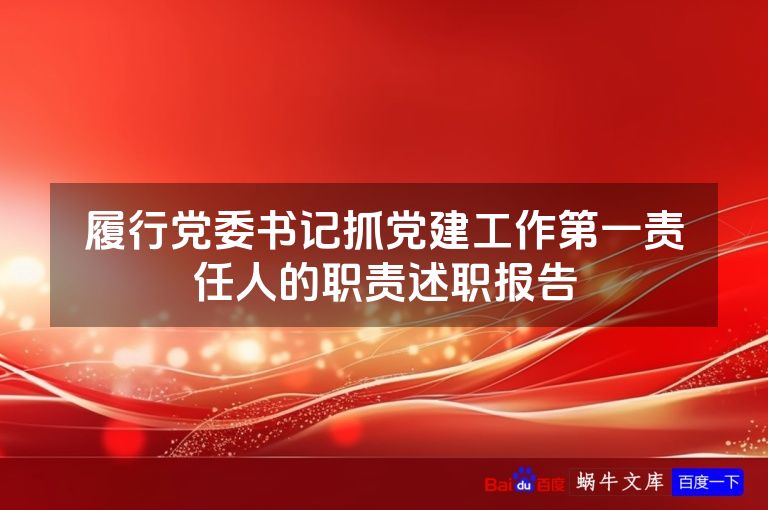 履行党委书记抓党建工作第一责任人的职责述职报告