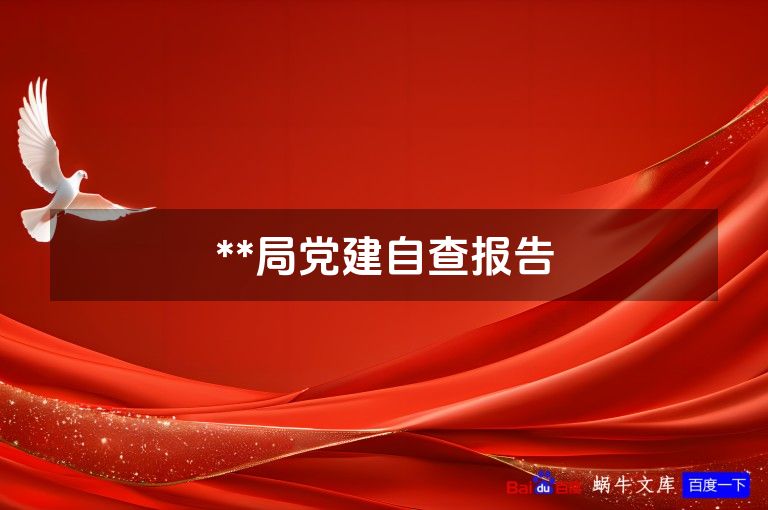 **局党建自查报告