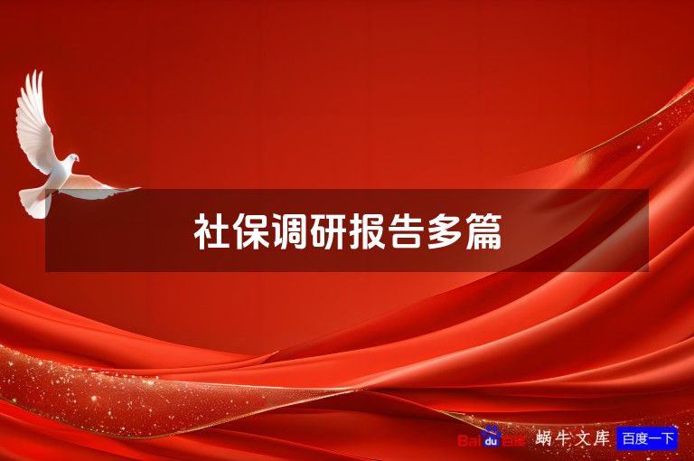 社保调研报告多篇