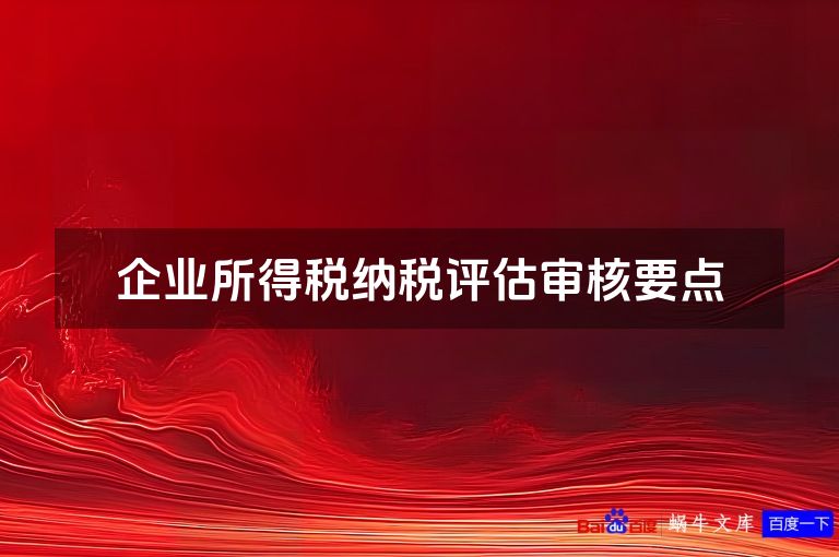 企业所得税纳税评估审核要点