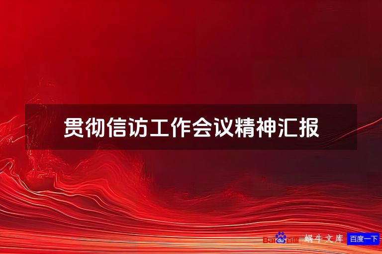 贯彻信访工作会议精神汇报