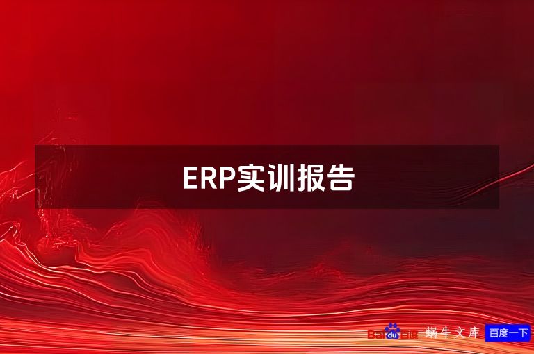 ERP实训报告