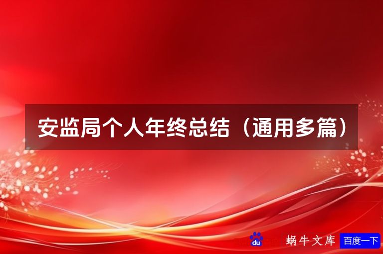 安监局个人年终总结（通用多篇）