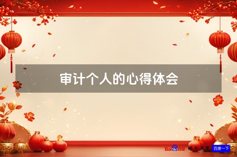 审计个人的心得体会