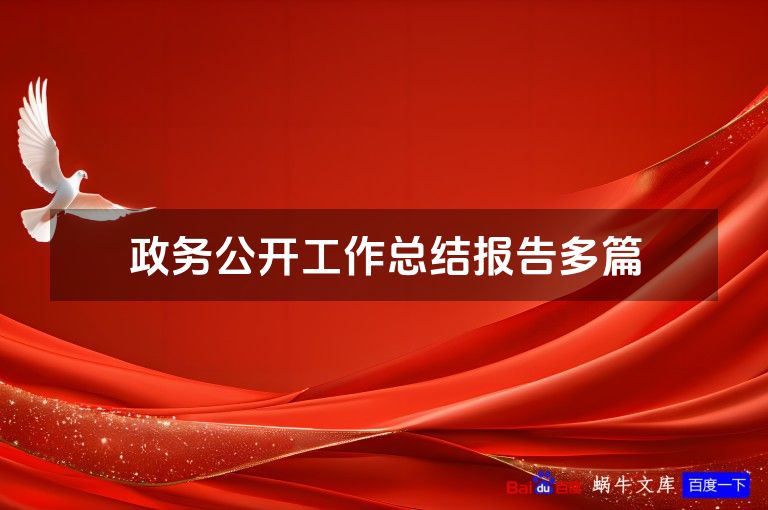 政务公开工作总结报告多篇