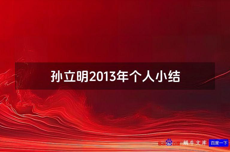 孙立明2013年个人小结