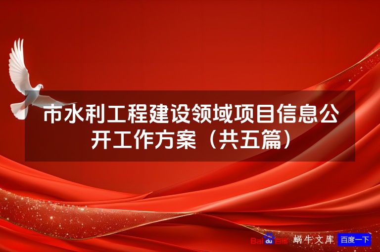市水利工程建设领域项目信息公开工作方案（共五篇）