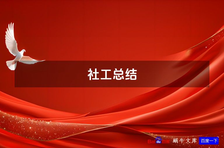 社工总结