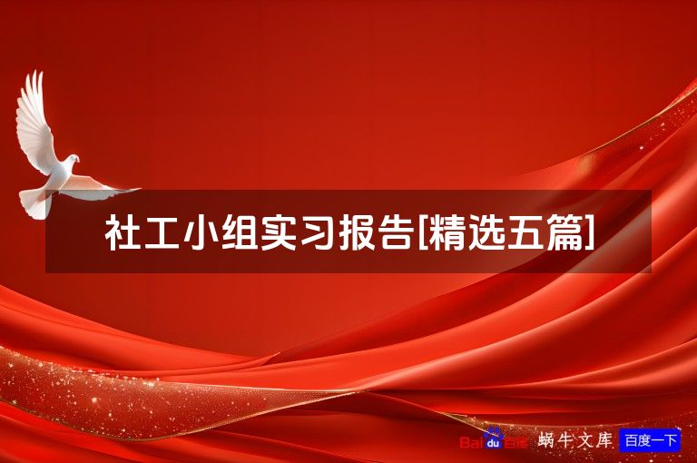 社工小组实习报告[精选五篇]