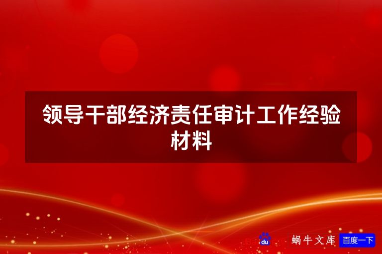 领导干部经济责任审计工作经验材料