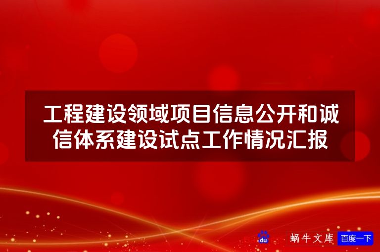 工程建设领域项目信息公开和诚信体系建设试点工作情况汇报